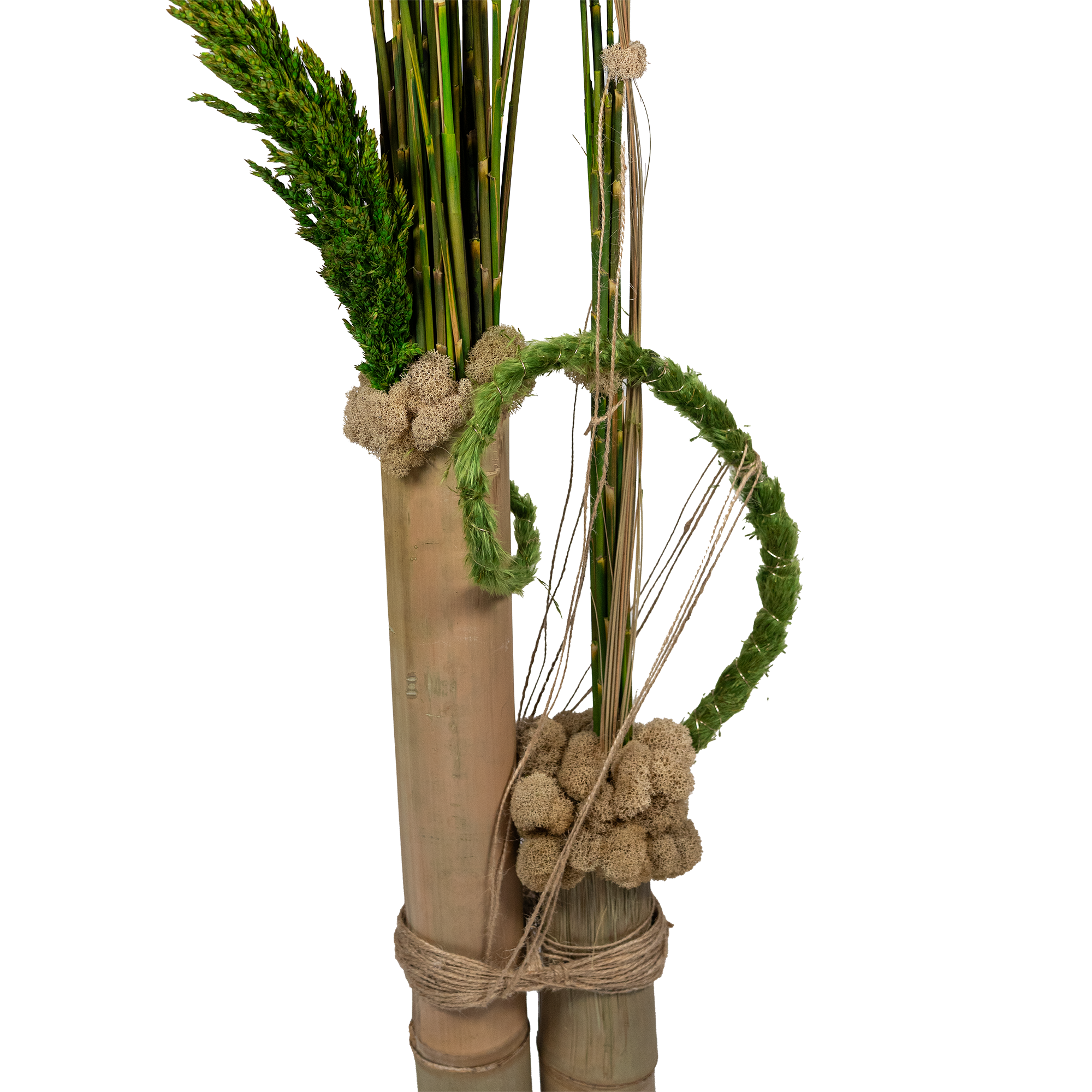 Vertical Garden