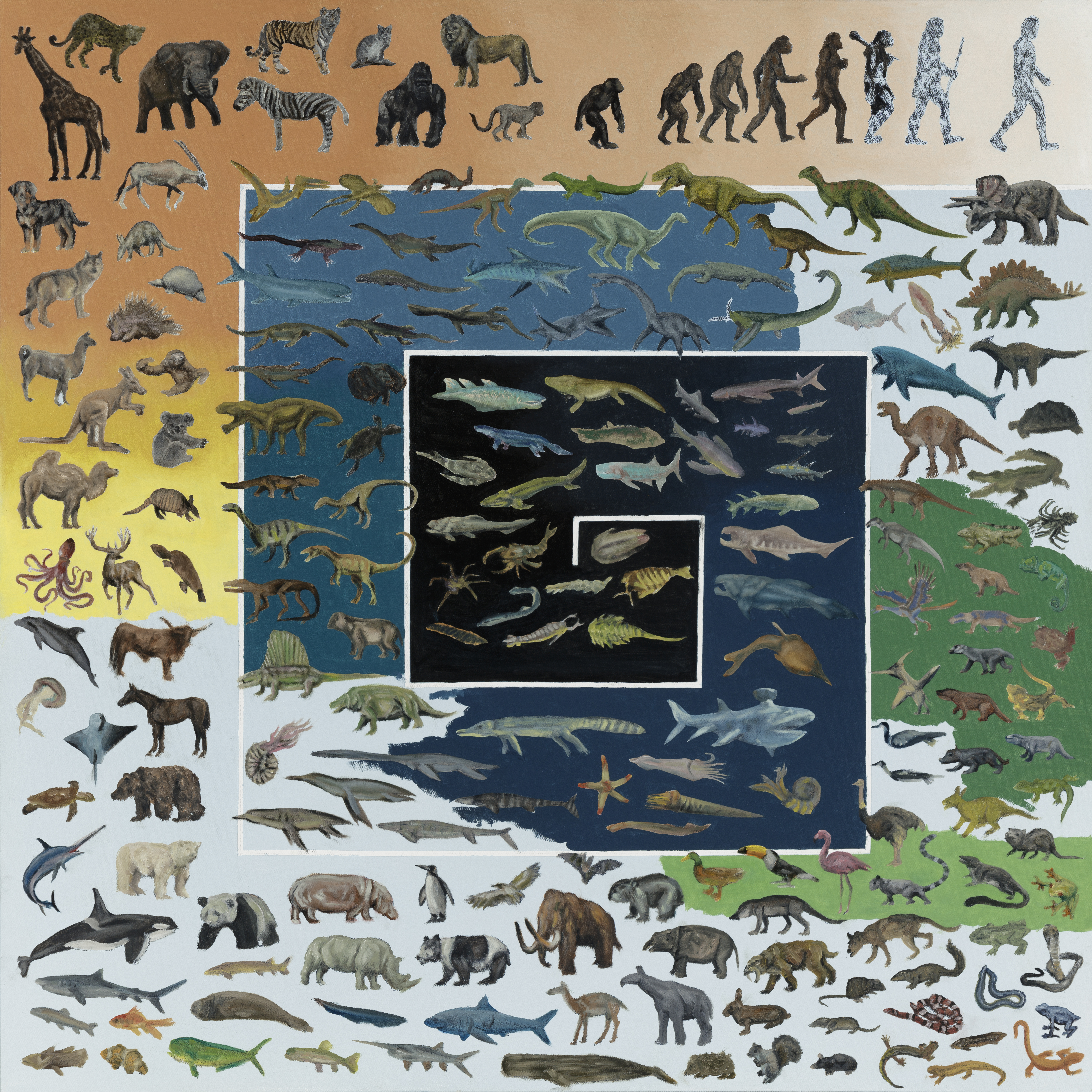 Animal Evolution